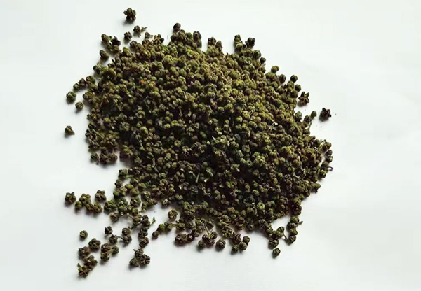 南丹收购吴茱萸苗价格