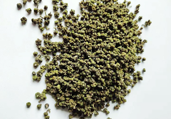 广州求购百香果种植